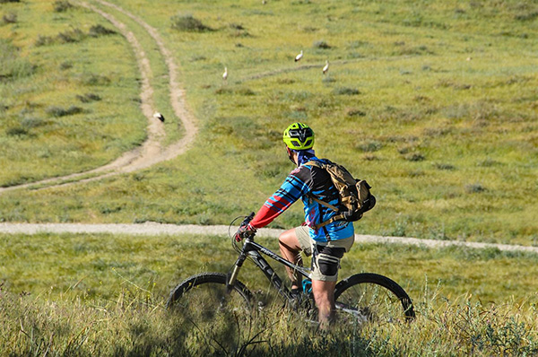 סינגל יער להב. צילום: אילן שחם, ארכיון הצילומים של קק"ל