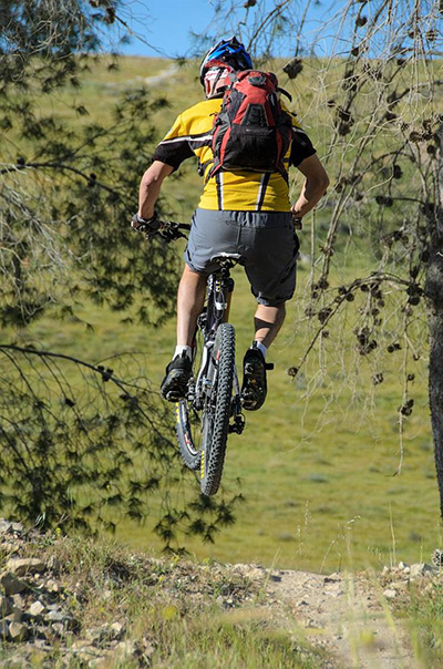 סינגל יער להב. צילום: אילן שחם, ארכיון הצילומים של קק"ל