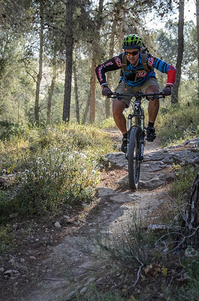 סינגל יער להב. צילום: אילן שחם, ארכיון הצילומים של קק"ל