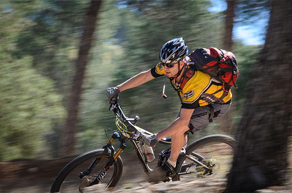 סינגל יער להב. צילום: אילן שחם, ארכיון הצילומים של קק"ל