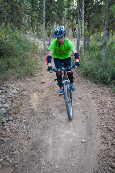 הרפתקה בין העצים. צילום: אילן שחם, ארכיון הצילומים של קק"ל