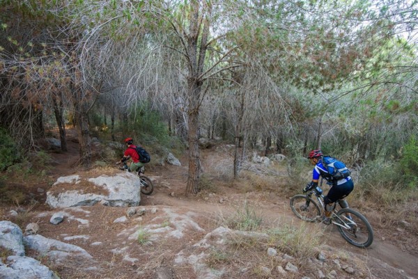 בין העצים לסלעים. צילום: אילן שחם, ארכיון הצילומים של קק"ל