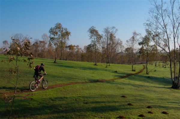 צילום: אילן שחם, ארכיון הצילומים של קק"ל