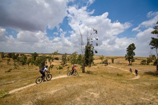 על הירידה בסינגל מכיוון רוחמה. צילום: אילן שחם, ארכיון הצילומים של קק"ל
