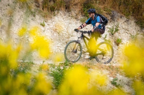 רוכבים בסינגל ביריה. צילום: אילן שחם, ארכיון הצילומים של קק"ל