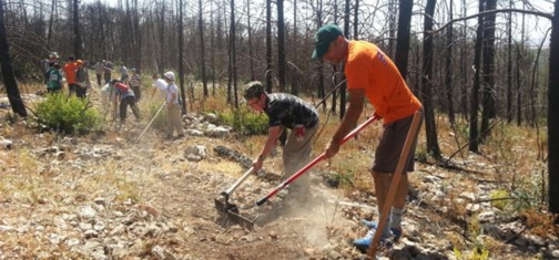 סינגל זכריה.  צילום: גיא חלמיש