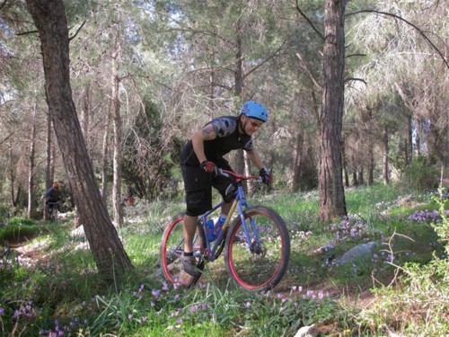 סינגל חרובית. צילום: דרור גרד