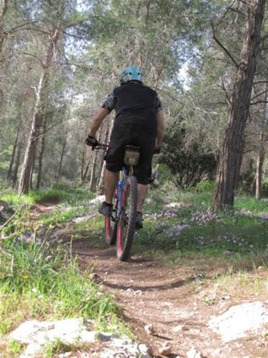 סינגל חרובית. צילום: דרור גרד