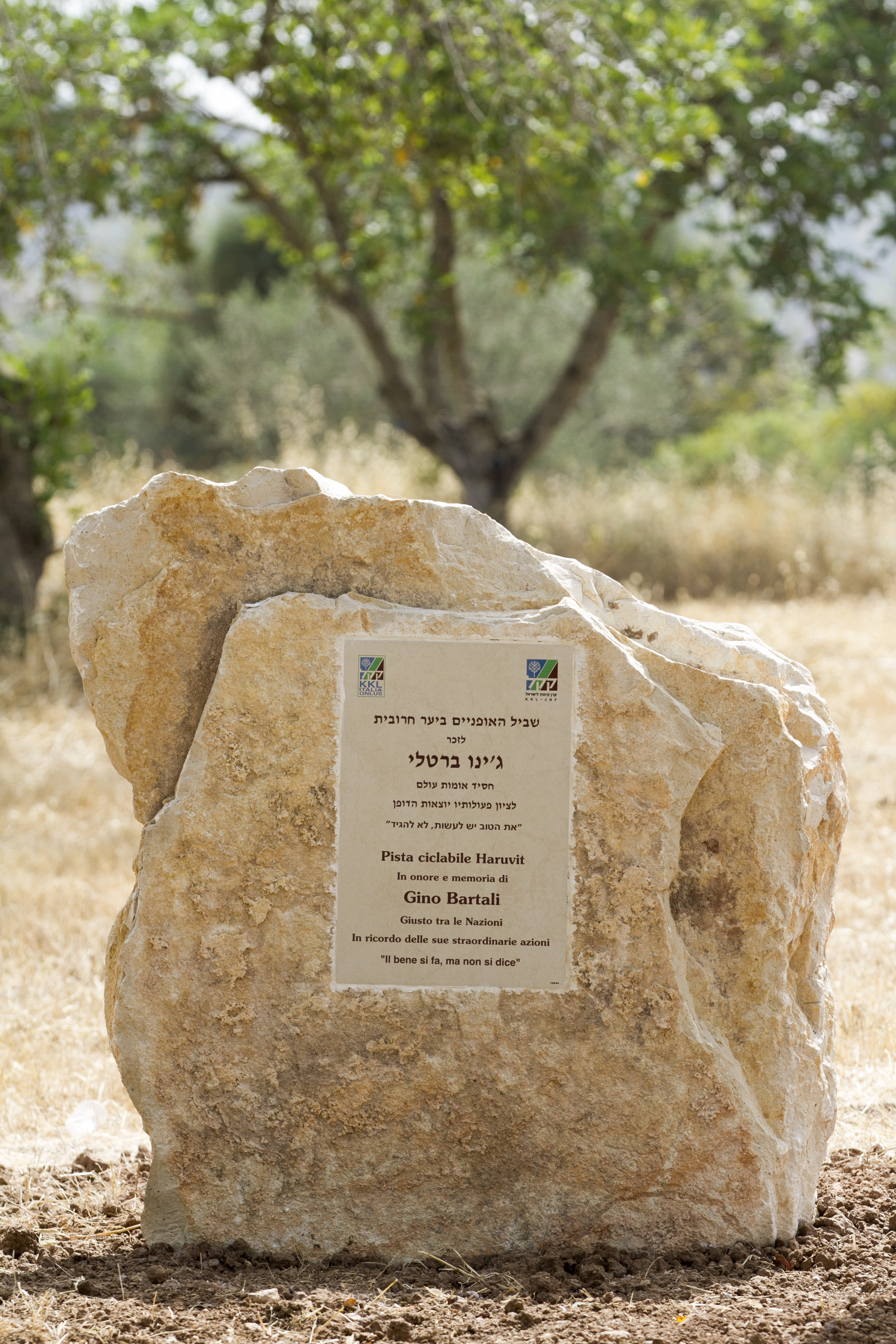 אנדרטה לזכר ג'ינו ברטלי ביער חרובית. צילום חיים ורסנו, ארכיון הצילומים של קק"ל