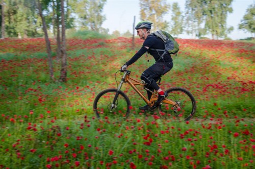 אדום אדום ורק היום. צילום: אילן שחם, ארכיון הצילומים של קק"ל