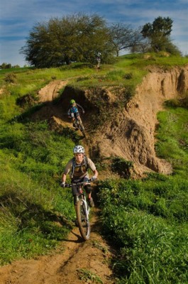 צילום: אילן שחם, ארכיון הצילומים של קק"ל