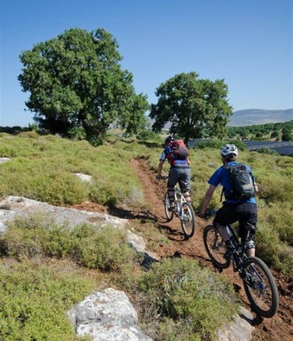 מטפסים ביחד.  צילם: אילן שחם