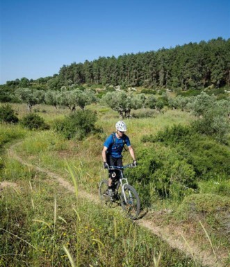 ירוק ירוק בריש לקיש.  צילום: אילן שחם, ארכיון הצילומים של קק"ל