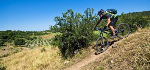 גלישה מהירה.  צילום: אילן שחם, ארכיון הצילומים של קק"ל