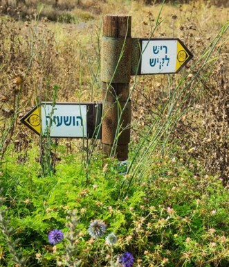 פיצול סינגלי ריש לקיש והושעיה.  צילום: אילן שחם, ארכיון הצילומים של קק"ל