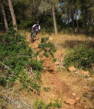 אקשן בסינגל הושעיה. צילום: אילן שחם, ארכיון הצילומים של קק"ל