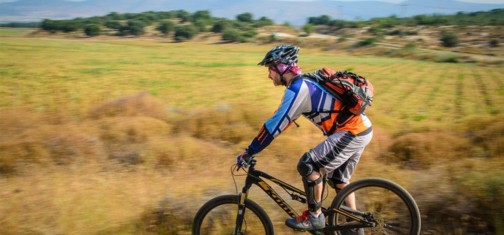 שדות ונוף פתוח.  צילם: אילן שחם