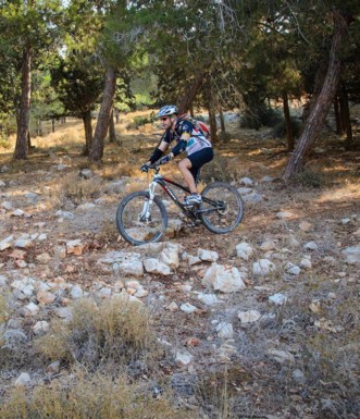 ירידה בצל יער.  צילום: אילן שחם, ארכיון הצילומים של קק"ל