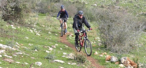 רצועה חומה דקה בלב הירוק.  צילום: אילן שחם, ארכיון הצילומים של קק"ל