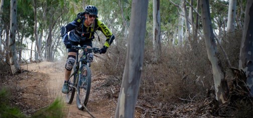 סינגל גברעם.  צילום: אילן שחם