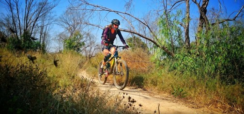 סינגל גברעם.  צילום: אילון שגיא