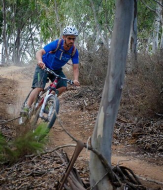 סינגל גברעם.  צילום: אילן שחם