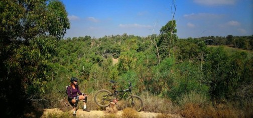 סינגל גברעם.  צילום: אילון שגיא