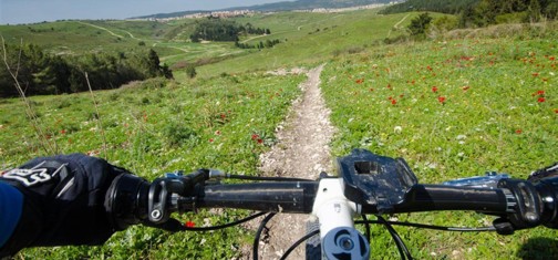 מסלול עין השופט הזורע.  צילום: אילן שחם, ארכיון הצילומים של קק"ל