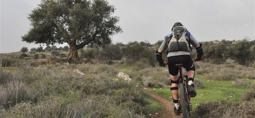 סינגלים בפארק בריטניה.  צילום: אילן שחם, ארכיון הצילומים של קק"ל