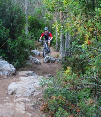 סינגלים בפארק בריטניה.  צילום: אילן שחם, ארכיון הצילומים של קק"ל