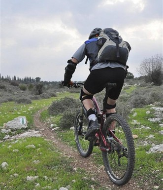 סינגלים בפארק בריטניה.  צילום: אילן שחם, ארכיון הצילומים של קק"ל