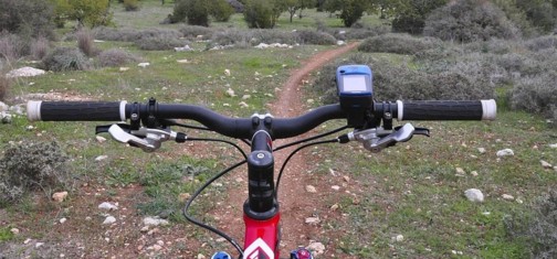 סינגלים בפארק בריטניה.  צילום: אילן שחם, ארכיון הצילומים של קק"ל