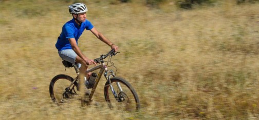 סינגלים בפארק בריטניה.  צילום: אילן שחם, ארכיון הצילומים של קק"ל