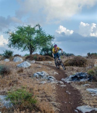 סינגלים בפארק בריטניה.  צילום: אילן שחם, ארכיון הצילומים של קק"ל