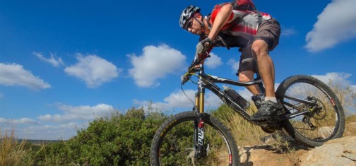 סינגלים בפארק בריטניה.  צילום: אילן שחם, ארכיון הצילומים של קק"ל