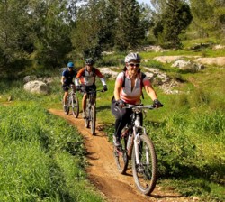 צילום: יואב לביא