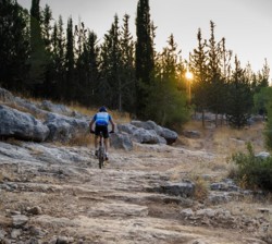 צילום: אילן שחם
