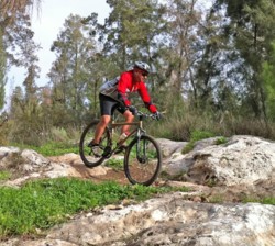 צילום: יואב לביא