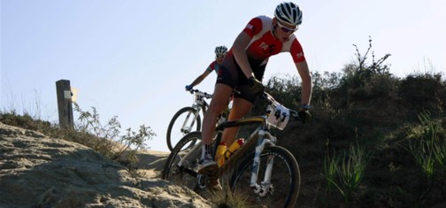 סינגל בארי.  צילום: טכנוגרפיקס