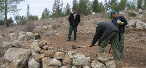 שביל קנים.  צילום: גידי בשן, קק"ל