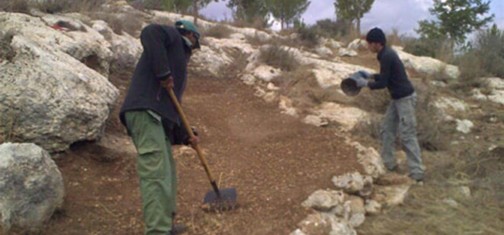 שביל קנים.  צילום: גידי בשן, קק"ל