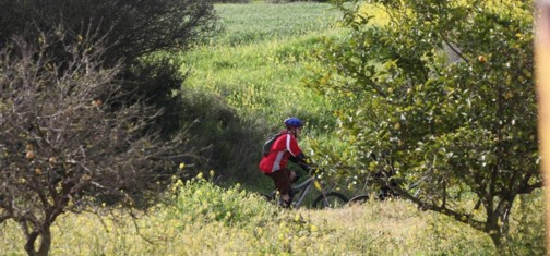 שביל עדולם.  צילום: יוסי זמיר