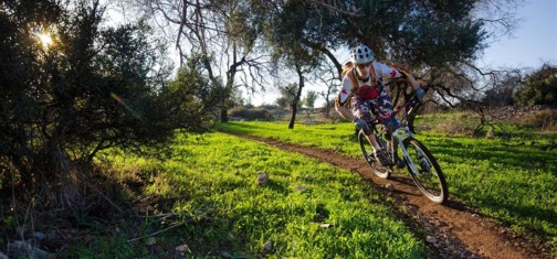 פארק קנדה (איילון).  צילום: אילן שחם, ארכיון הצילומים של קק"ל