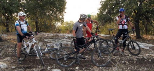 סינגל אלון הגליל.  צילום: אורית ברנע