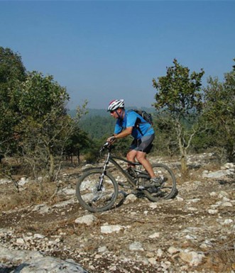 סינגל אלון הגליל.  צילום: איילת ניר