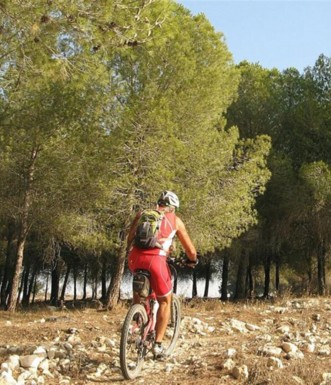 סינגל אלון הגליל.  צילום: אורית ברנע