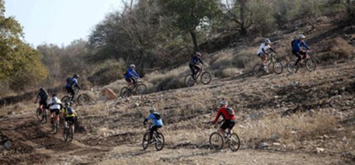 שיירת הרוכבים.  צילום: דרור ארצי - קק"ל