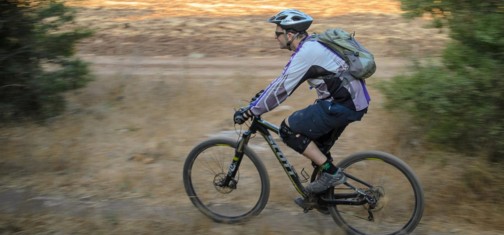 קרחת קטנה בחורש הצפוף.  צילום: אילן שחם, ארכיון הצילומים של קק"ל