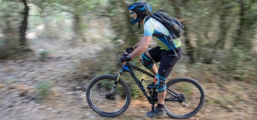 טסים על פני היער.  צילום: אילן שחם, ארכיון הצילומים של קק"ל