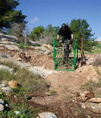 סינגל גבעת אלה.  צילום: רונן גולן